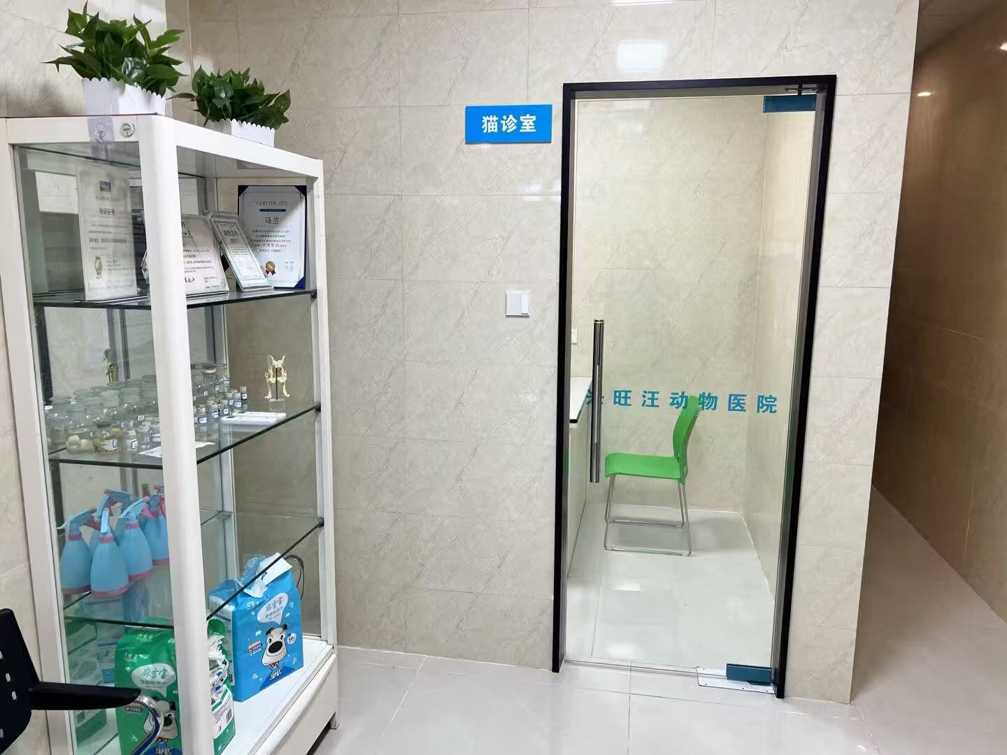 南充宠物